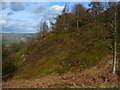 Bracken- and Heather-covered slope south of Eastburn