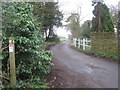 Footpath to Bifrons Hill