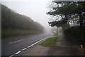 The mist descends on Elphinstone Rd