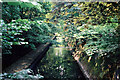 SP0683 : View from the bridge on the River Rea, Cannon Hill Park, Birmingham by Brian Robert Marshall