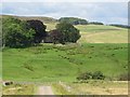 Pastures around Harwoodshield Farm