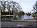 Village Pond, Hanley Swan