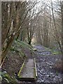 Duckboards, Hollycroft Wood