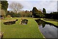 Ponds in Stapeley Water Gardens