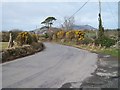 Bend in the Pencaenewydd road by Talafon