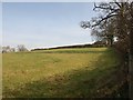 Field near Barton Place