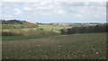 View from Knowle Wood