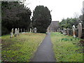 Churchyard at St Mary, Fittleworth (3)