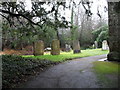 Churchyard at St Mary, Fittleworth (7)