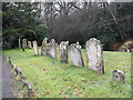 Churchyard at St Mary, Fittleworth (9)