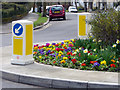 Floral Display on Roundabout, Chase Road, London N14