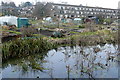 Allotments adjacent to the River Itchen