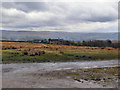 View to Tab Road Farm