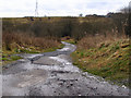 Path to Prickshaw Lane