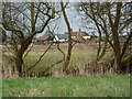 Fields towards Creeting Hall