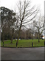 Winter trees within Park Crescent