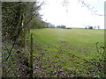 Footpath to Cooksey Corner