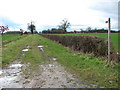 Footpath to Norgate Lane