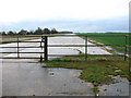 View along one of the runways at Thorpe Abbotts airfield