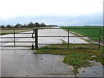 TM1781 : View along one of the runways at Thorpe Abbotts airfield by Evelyn Simak