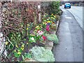 NZ5719 : Road-side flowers in Lazenby village by Philip Barker