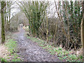 Path to Langmere