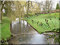 Ornamental ponds at Stanton House