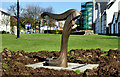 Sculpture, Carrickfergus (3)