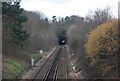 Entrance to the Somerhill Tunnel