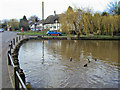 Village pond at Newton Regis