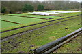 Watercress beds