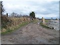 Farm road to Hendre Bach