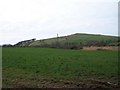 View across grazing land and marsh towards Carn Pentyrch hill