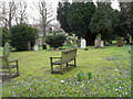 Churchyard at St Mary, Storrington (3)