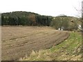 Stubble by the Ardoch Burn