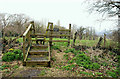 Stile near the Giant