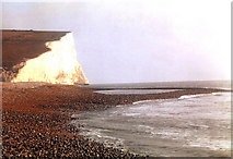 TV5197 : The beach at Cuckmere, East Sussex by nick macneill