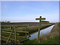 Footbridge  over  Skipsea  Drain