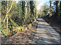 Bridge over the Kempley Brook