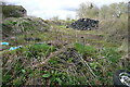 Ready for the silage clamp