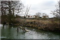 River bank near Dorchester