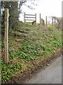 Steps leading up to a stile