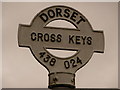 ST4302 : Broadwindsor: Cross Keys finger-post detail by Chris Downer