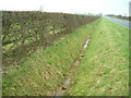 Drainage ditch beside the A614