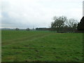 Farmland near South Farm, Thorpe le Street