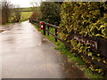 Wynford Eagle: driveway to Shatcombe Farm