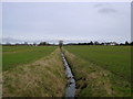 Flat  Fields  and  Big  Sky