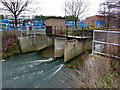 River Gipping, Stowmarket