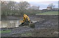 Creating a small nature reserve