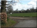 Deans Grove, playing fields